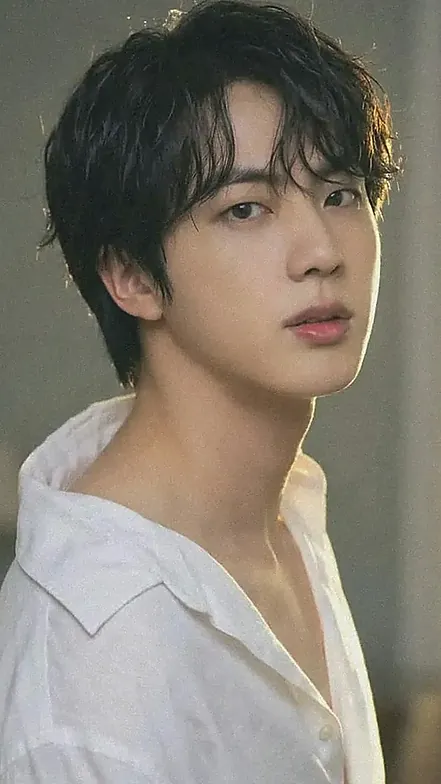 Jin（金硕珍）